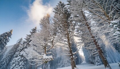 Fototapeta premium Icicles hang from eaves, sparkling in the light. 