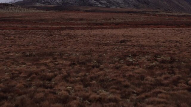 Tundra Vegetations Revealed Snow Ogilvie Mountain Peak In Yukon, Canada. Aerial Drone Shot