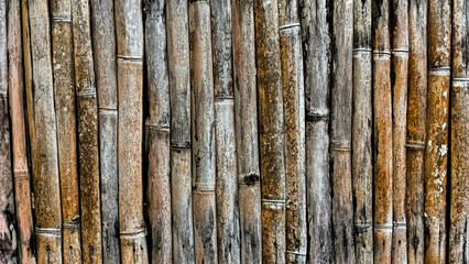 Obraz premium Detailed view of natural bamboo stalks arranged vertically, showcasing their earthy tones and textures.