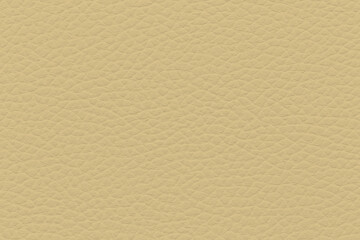 Magnolia Textured Leather Pattern Background