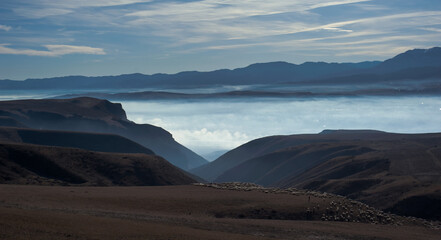 landscape in the morning