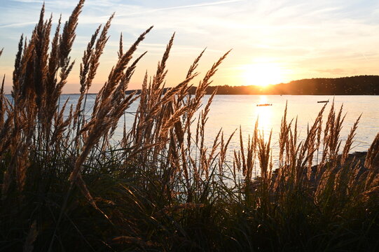 Abend am Stettiner Haff bei Kamminke