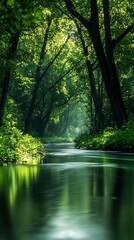 Breathtaking view river green nature picture