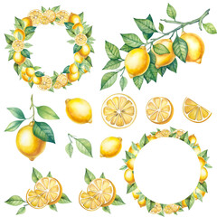 Large watercolor set with illustrations of lemons. Lemons on a branch, slices, leaves. Botanical set of lemon illustrations for your design.Watercolor lemons clip art,Lemon wreath,Citrus fruit,Lemon f