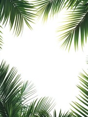 Fototapeta premium Leafy green palm tree with a white background. The palm tree is the main focus of the image, and it is reaching out to the viewer. The white background creates a sense of contrast