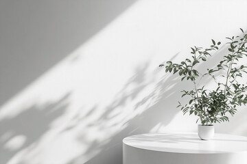 White Interior with Plant in Round Vase and Blank Space for Product Presentation