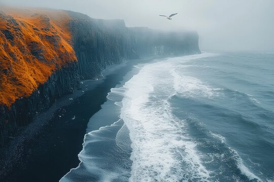 Dramatic black sand beach with basalt cliffs in Iceland