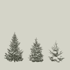 winter Christmas tree dark green sketch