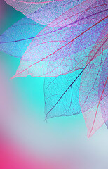 Transparent skeleton leaves. Macro leaves background texture blue, turquoise, pink color. Bright expressive colorful beautiful artistic image of nature.