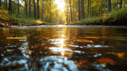 A river in a forest lit by the golden sunlight of an autumn day, with the light reflecting off the water's surface and surrounded by dense, colorful foliage.