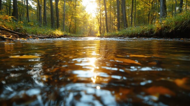 A river in a forest lit by the golden sunlight of an autumn day, with the light reflecting off the water's surface and surrounded by dense, colorful foliage.