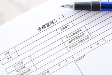 個人やチームの達成目標を明確に定義し、進捗状況を追跡するためのツールである「目標管理シート」を書く
