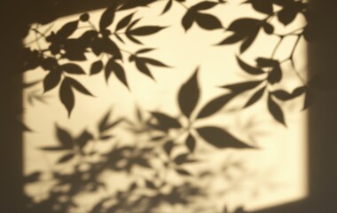 Fototapeta premium Elegant Leaf Shadows on Light Background