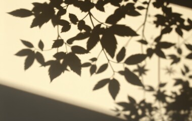 Elegant Silhouette of Leaves in Light