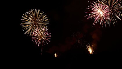 Colorful fireworks exploding in the night sky.