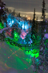 Magic forest at winter, Mysterious Forest in Murmansk region, Kirovsk, fantastic creation