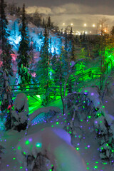 Magic forest at winter, Mysterious Forest in Murmansk region, Kirovsk, fantastic creation