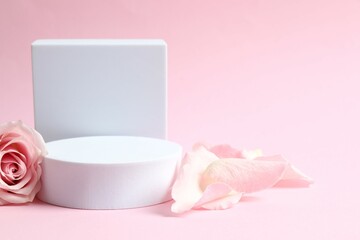 Pink rose petals with podium on a color background