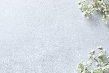 Top view photo with gypsophila flowers on gray background 