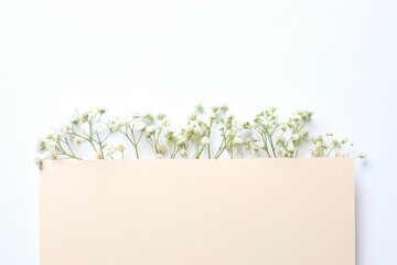 Top view photo with gypsophila flowers and paper card on white background 
