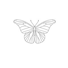 A BEAUTIFUL BUTTERFLY LINE ART