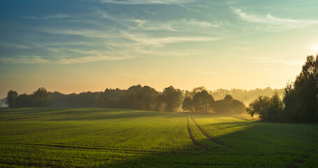 Polish fields © Maja
