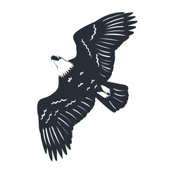 soaring eagle flying silhouette vector