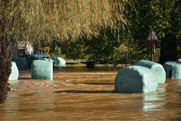 Balles de foin emportées par le fleuve et coincées dans le barrage du moulin - Aa (Pas-de-Calais,...