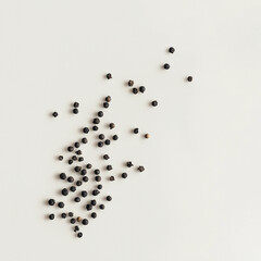 a few black pepper on a isolated white background.ai
