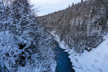 Serene Winter Landscape with Snow-Covered Trees and a Calm River Flowing Through a Frosted Forest in a Picturesque Natural Setting