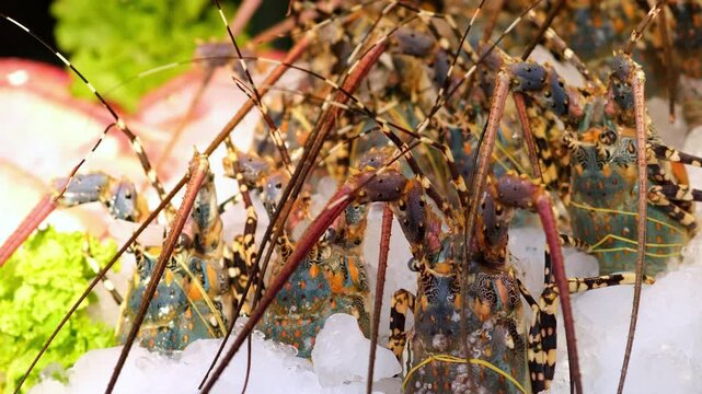 Close-up of royal shrimp on ice. Concept of fresh seafood. Perfect for content about gastronomy, cooking, and the restaurant industry.