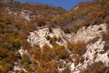 Autumn yellow forest in high mountains.