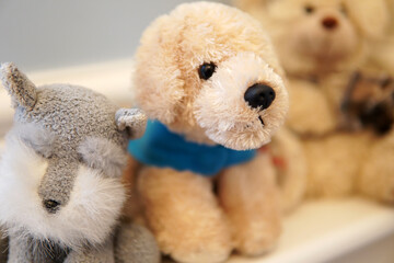Cute and soft Teddy bears representing children and dog toys