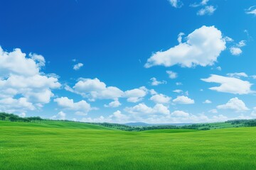 Fototapeta premium meadow and the beautiful blue sky 