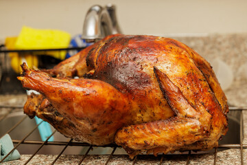 Roasted turkey on a cooling rack, golden brown and juicy, ready to be served.