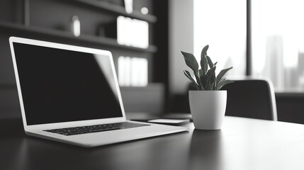 Fototapeta premium A laptop and a plant are on a desk in a home office.