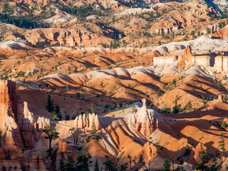 beautiful landscape in Bryce Canyon with magnificent Stone formation