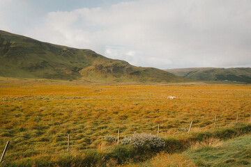 Icelandic hills