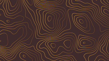 The concept of a conditional geography scheme and the terrain path. Abstract outline topographic contour map background.	