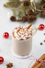 Christmas cocoa with small marshmallows and cinnamon