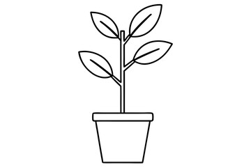 A simple Sapling Stories  line art vector