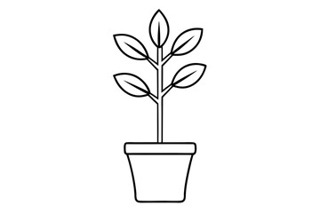 Obraz premium A simple Sapling Stories line art vector