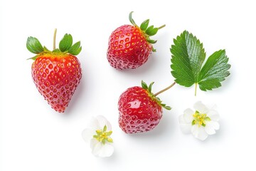 Four ripe strawberries one sliced with leaves and flowers on a white background