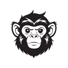 monkey head silhouette, black and white silhouette, vector and illustration, black and white