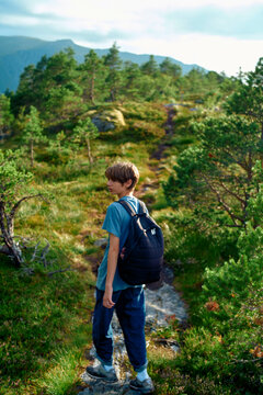 Young hiker with backpack walking on a mountain trail surrounded by green foliage under a clear sky, Romsdalfjorden, Norway