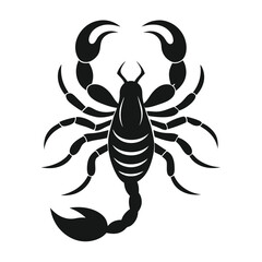scorpion silhouette icon vector white background.