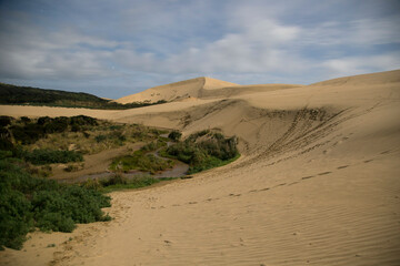 Sand dunes rise above green vegetation under a cloudy sky, Te Paki Sand Dunes, Northland, New Zealand