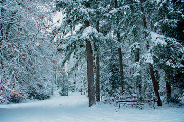Snow-covered trees line a tran0uil winter landscape with a bench and frosted foliage under a pale blue sky.