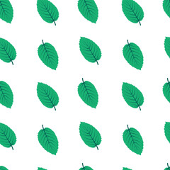 Mint leaf seamless pattern. Green leaves of mint or birch. Isolated vector illustration for background, fabric, packaging, cover