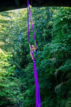 Aerial silk performer executing a pose on purple fabric amidst lush green forest trees, USA